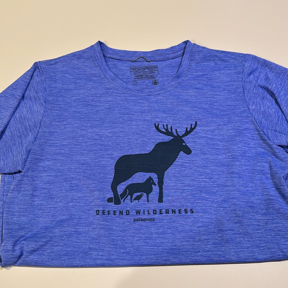 Patagonia capilene cool daily tshirt